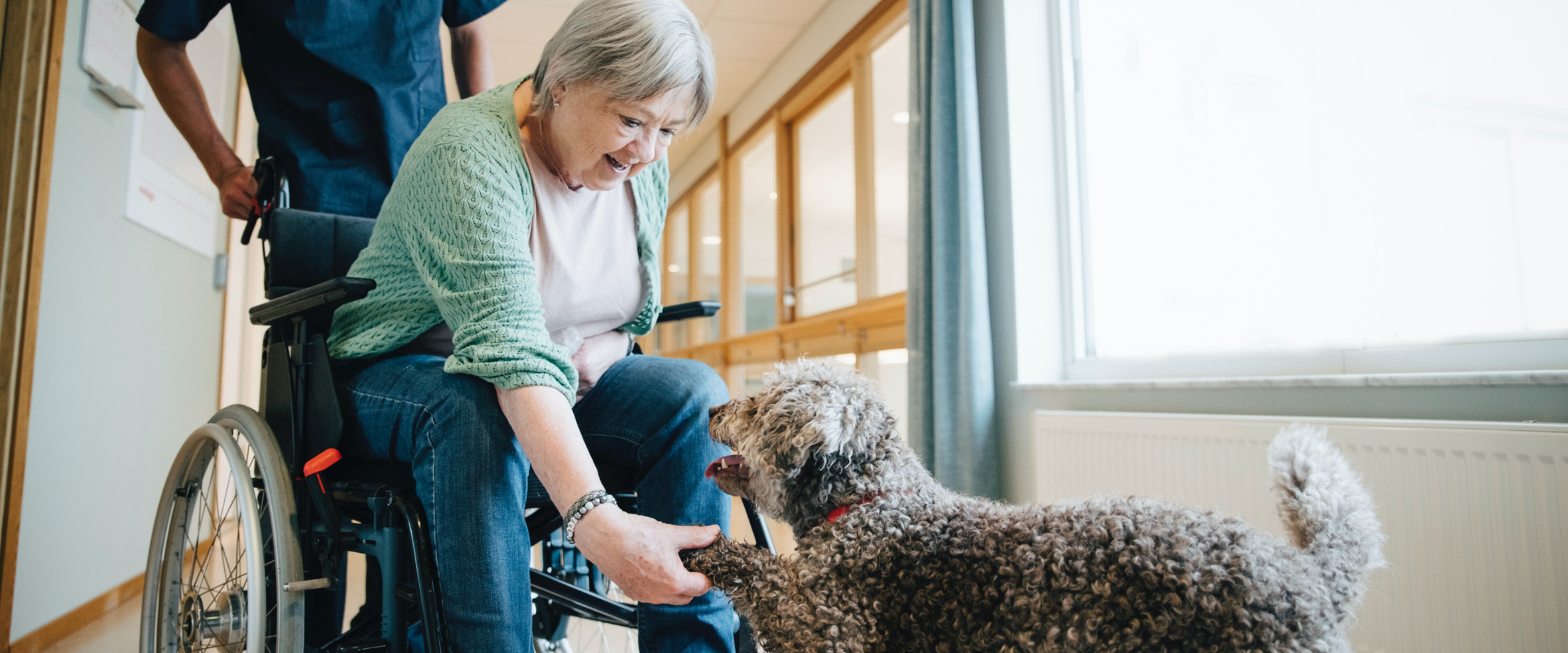 Older woman in wheelchair with dog